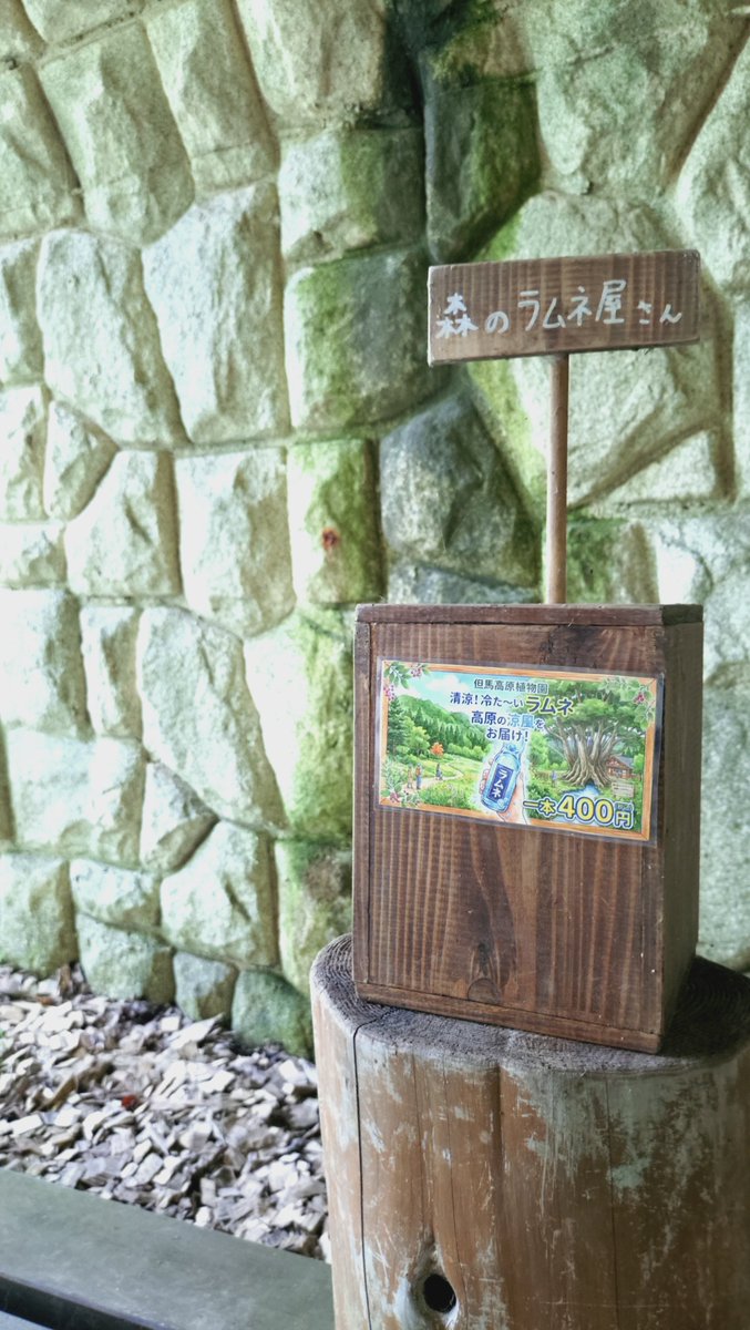 standby4_'s tweet photo. 周径16mでめちゃ大きかった……1日5000リットル？湧き出て流れてる水は冷たすぎて、15秒耐久テストコーナーで手首まで入れたらかなりキツかった。氷の中に手をつけてるみたいな痛み。 https://t.co/rTYE2m9Tz2