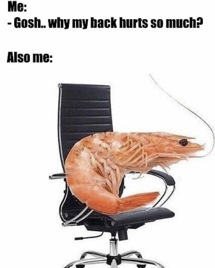AlfarinAsvid's tweet photo. @SleepySitrus Me irl https://t.co/qFeXwTBplq