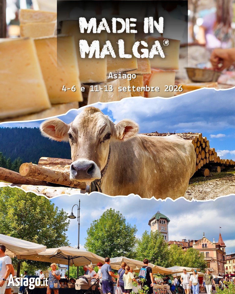 AsiagoIt's tweet photo. Manca ancora un po'… ma per certe cose preferiamo avvisarvi per tempo! 😄🧀

📅 4-6 e 11-13 settembre ad #Asiago ci sarà #MadeinMalga, l’evento dedicato ai #formaggi e ai sapori della #montagna. 🐮🌲

ℹ️ PROGRAMMA su #Asiagoit 👉 https://t.co/Gbf10Dwam4 https://t.co/egzSiDd6Lw