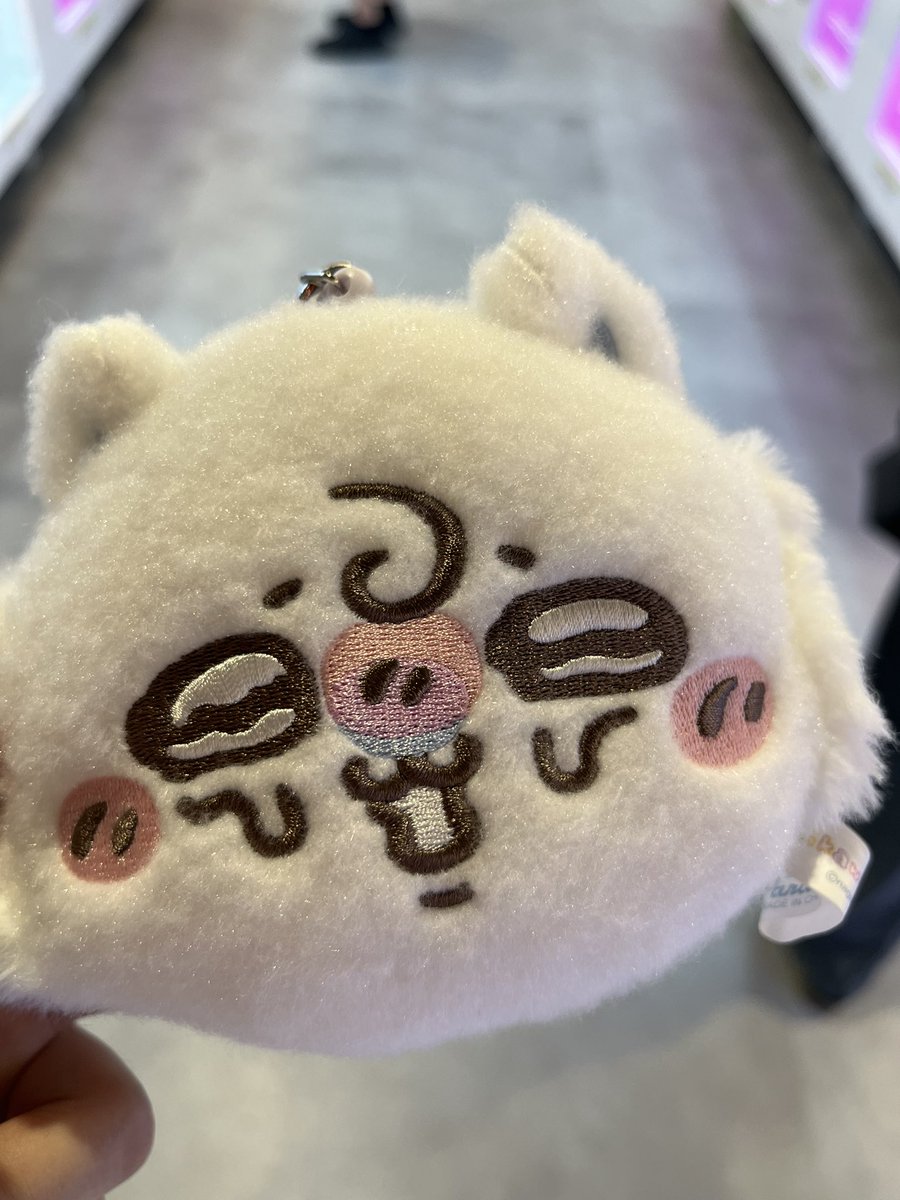 myoom_00's tweet photo. 500円で取れた(  ◜ω◝  )ﾆﾁｬｱかわいい https://t.co/k3730sXRM1