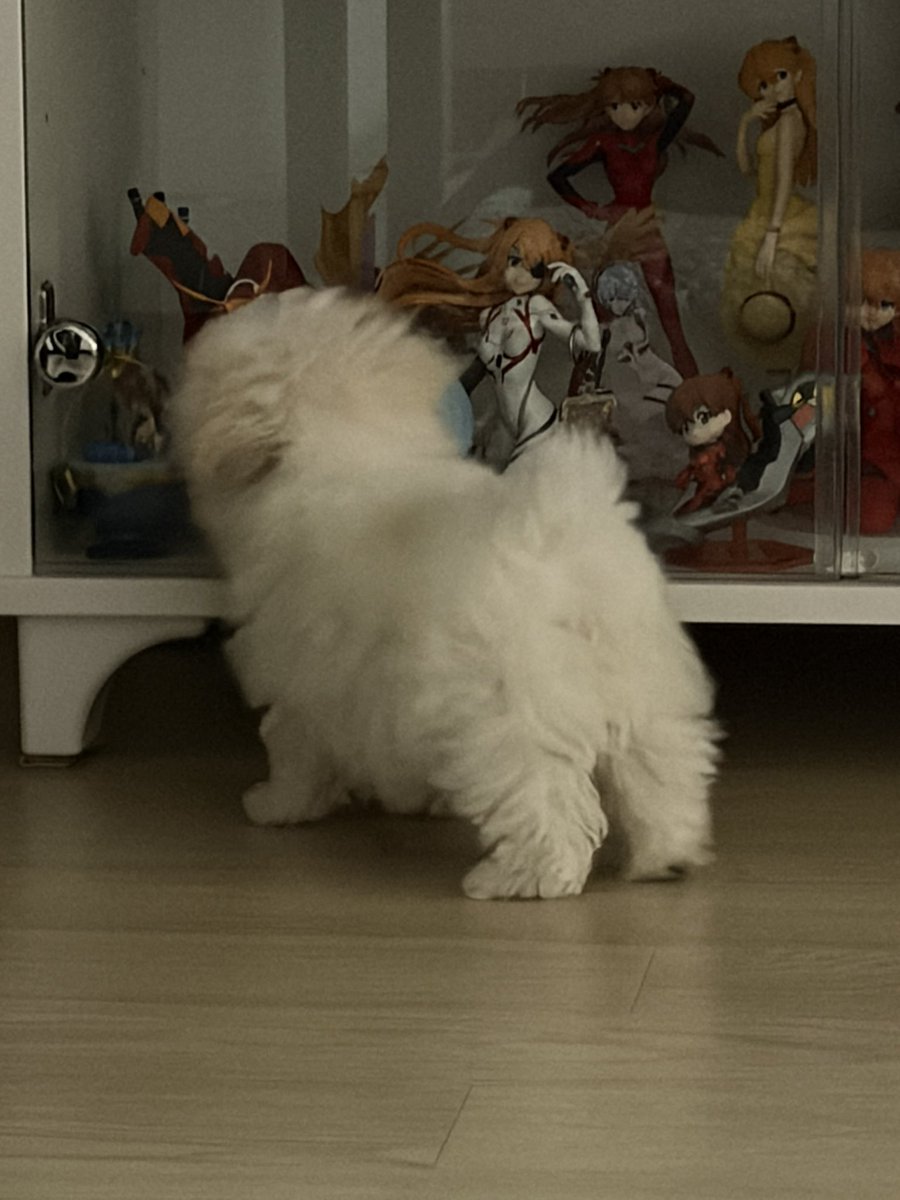 maranezx's tweet photo. #에이스테트친소 
#에이스테_트친소 

소비위주 덕질 (ᵒ̴̶̷̤ ꇴ ᵒ̴̶̷̤)✧
일상+에이스테+타장르+가나지로 굴러갑니다!
최애 틸, 차애 이반이고 성인입니다..✨
성향 맞을 거 같은 분들 위주로 찾아갈게요🥹 https://t.co/8ysnzKEfVT