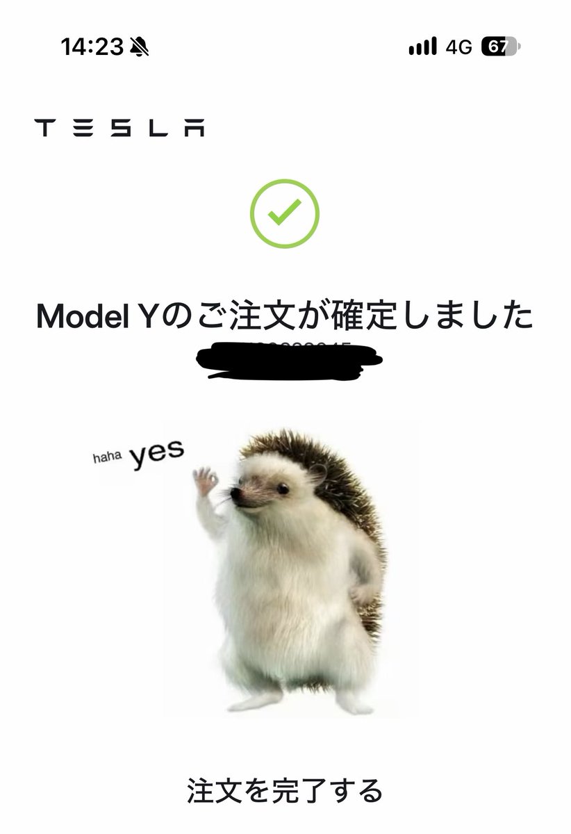 ReTwee_3's tweet photo. 買ってしもうた。数年はもやし生活ですね。 https://t.co/YrmBlw3DaU