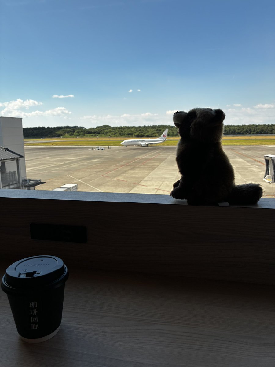 marimo2384's tweet photo. 何気に初めて空港の中に入ったね
おしゃれだけど、中は物価が高騰してるねたぬきさん https://t.co/Fmbg6ZynlK