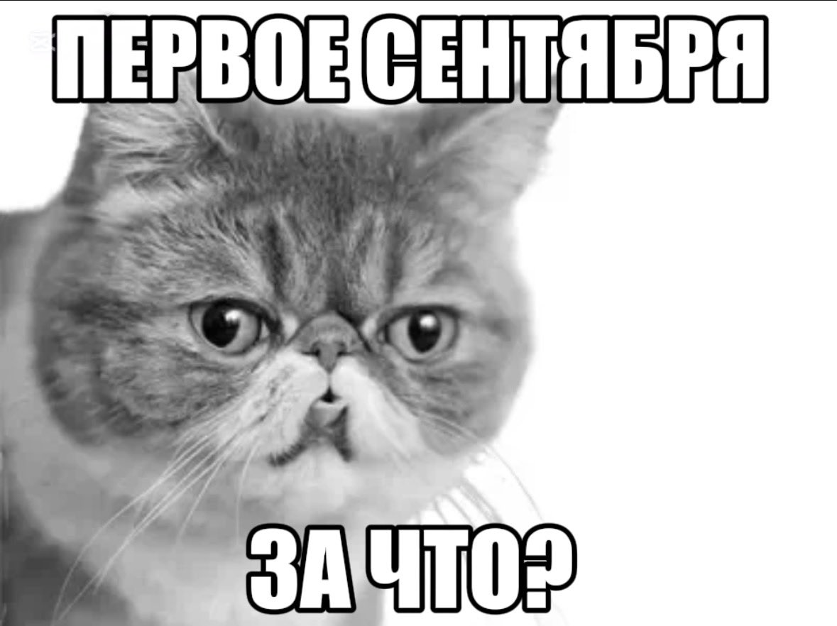 Yugen242002's tweet photo. мы просрали лето 
пипец https://t.co/4SDQRQyLLe