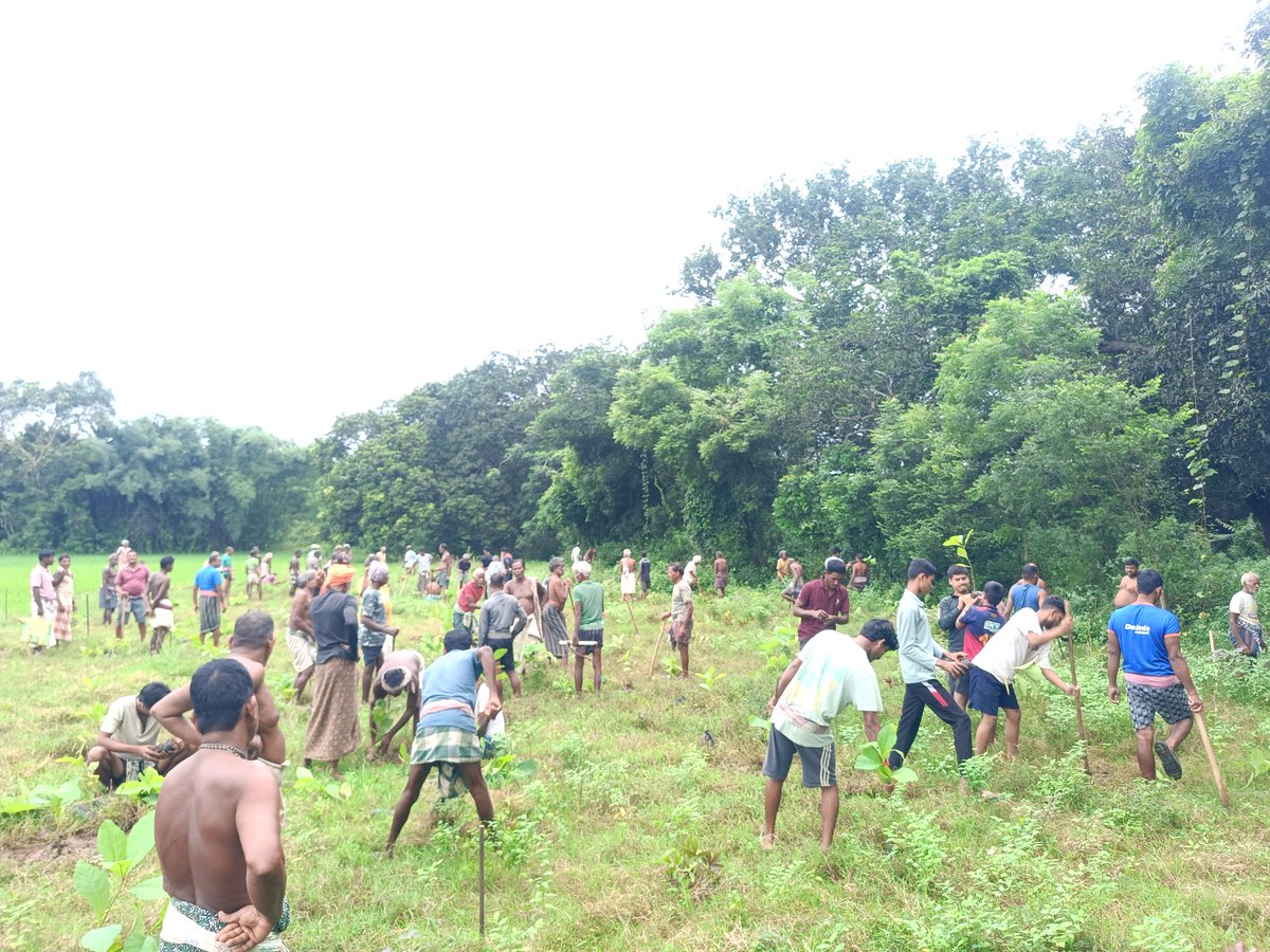 ofkuna_'s tweet photo. A proud moment for all of us! ❤️
Today, we villagers came together and planted 400 saplings at different places across our village, taking a meaningful step towards a greener, healthier and more beautiful future. 🌍💚#EkPedMaaKeNaam #PlantForFuture #GoGreen
@narendramodi @moefcc https://t.co/g5uEqgknAy