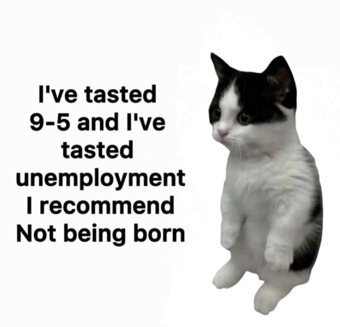 raccoonesthetic's tweet photo. https://t.co/8zwzDG9cQC