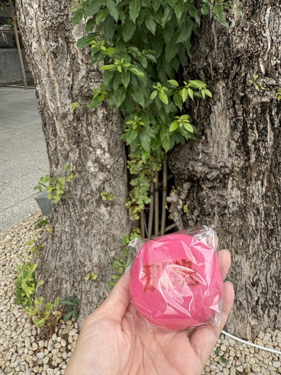 rm_kunatsu's tweet photo. 昨日の豪雨はほとんど濡れずにやり過ごせて、雨が止んでいる合間に帰宅できたし、未明の地震はかなり揺れたのに何も影響無かったのは、昨日のお出かけ先がここだったからかも知れない

とはいえ、地震で途中覚醒したから眠い💤
お昼寝しとけば良かった https://t.co/IVwbEFAky4