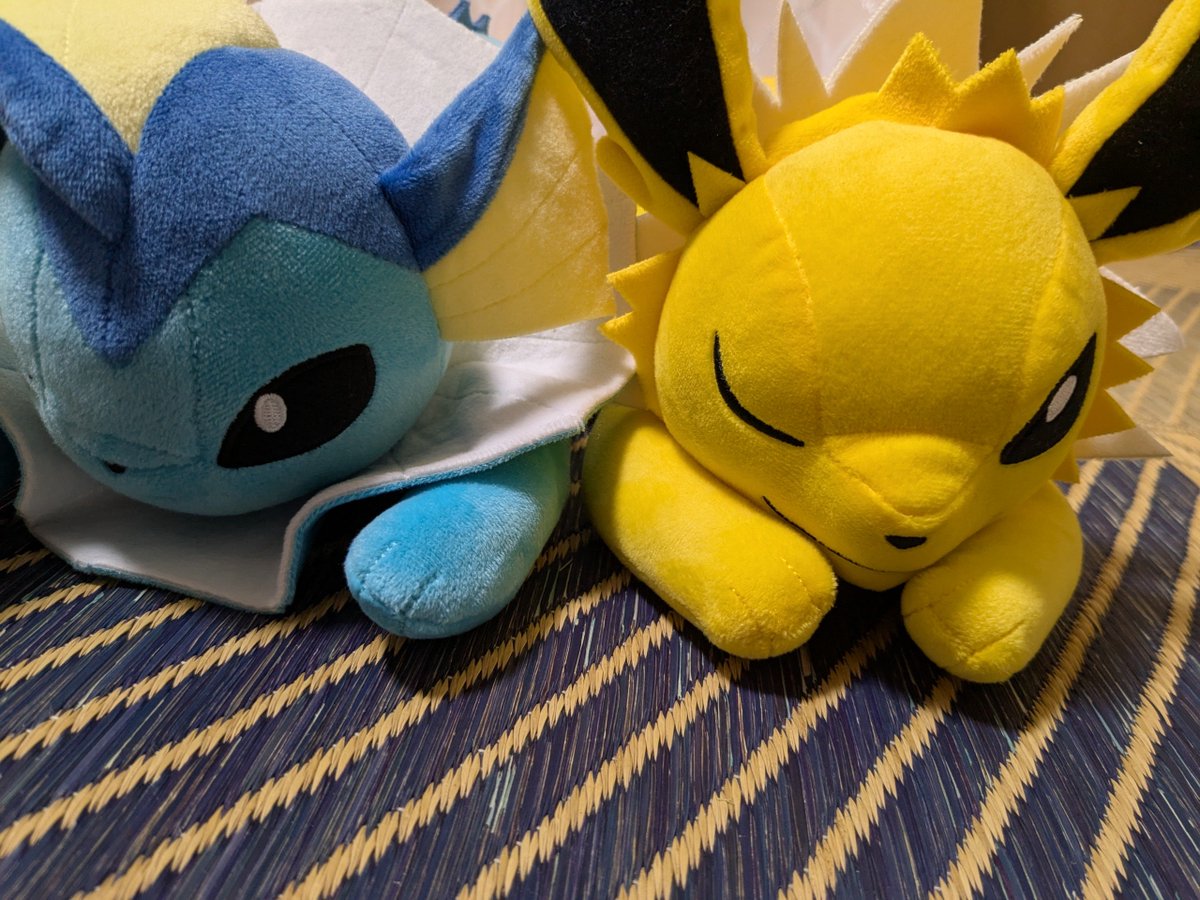 weisses_schaf's tweet photo. ゲーセンのサンダースとシャワーズをつかまえた
シャワーズ尻尾長い！
サンダース尻がでかまる！ https://t.co/xJ01bICp1S