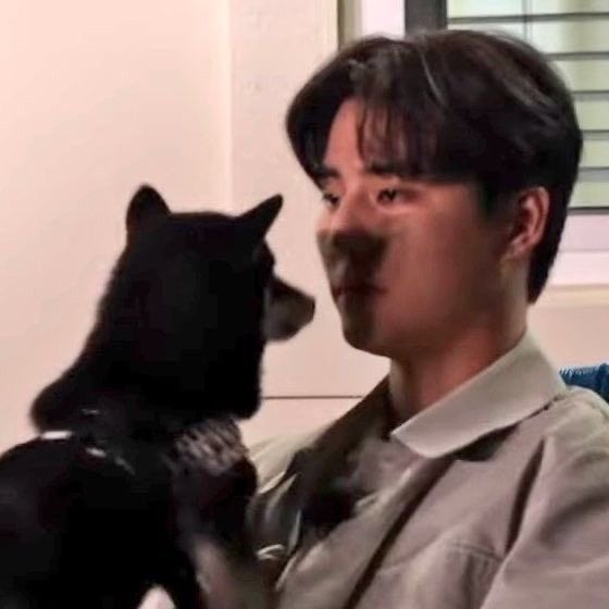 m6ments_'s tweet photo. kyh
고기 먹는 중에 갑자기 사라져서 이상하다 하고 주위 둘러봤더니 무릎에 고앵이 앉혀놓고 눈싸움 중임..
“자기야.. 뭐해..?” 했더니
“긍까 그 내가 지금 세상에서 제일 중요한 일을 하는 중인데..” 이래서 한숨 쉬고 돌아서자마자
눈싸움 지고 "아.. 까비여~“ 하는 진짜 개초딩 남편 되시겟다 https://t.co/XnyAEKnRQJ