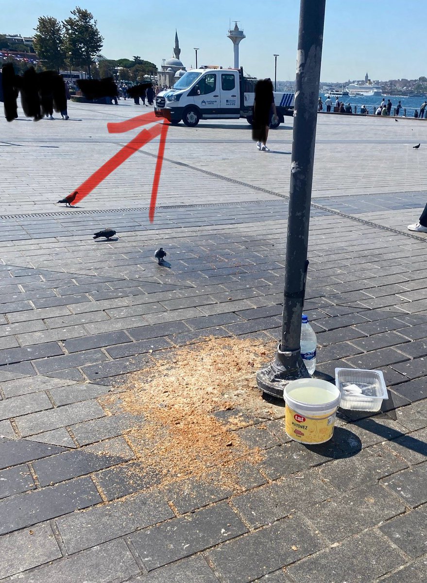 Ozilifb's tweet photo. Ant içmişler ülkemin her m2 sini merhamet adı altında pisliğe, mikroba boğacaklar her yeri ahır yapıyorlar bilerek isteyerek sistematik. Herkes izliyor. #Üsküdar meydan, 3 metre ilerde zabıta aracı SÖZ BİTTİ. @uskudarbld 
@TC_icisleri @TC_istanbul @gul_davut @iletisim @csbgovtr https://t.co/L1GxhOL5pe