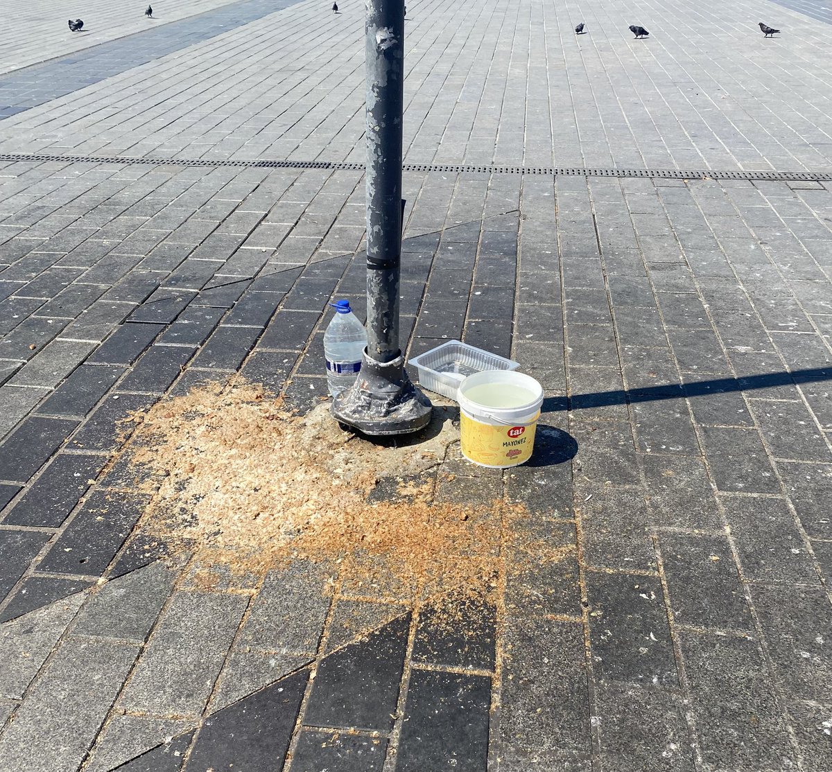 Ozilifb's tweet photo. Ant içmişler ülkemin her m2 sini merhamet adı altında pisliğe, mikroba boğacaklar her yeri ahır yapıyorlar bilerek isteyerek sistematik. Herkes izliyor. #Üsküdar meydan, 3 metre ilerde zabıta aracı SÖZ BİTTİ. @uskudarbld 
@TC_icisleri @TC_istanbul @gul_davut @iletisim @csbgovtr https://t.co/L1GxhOL5pe