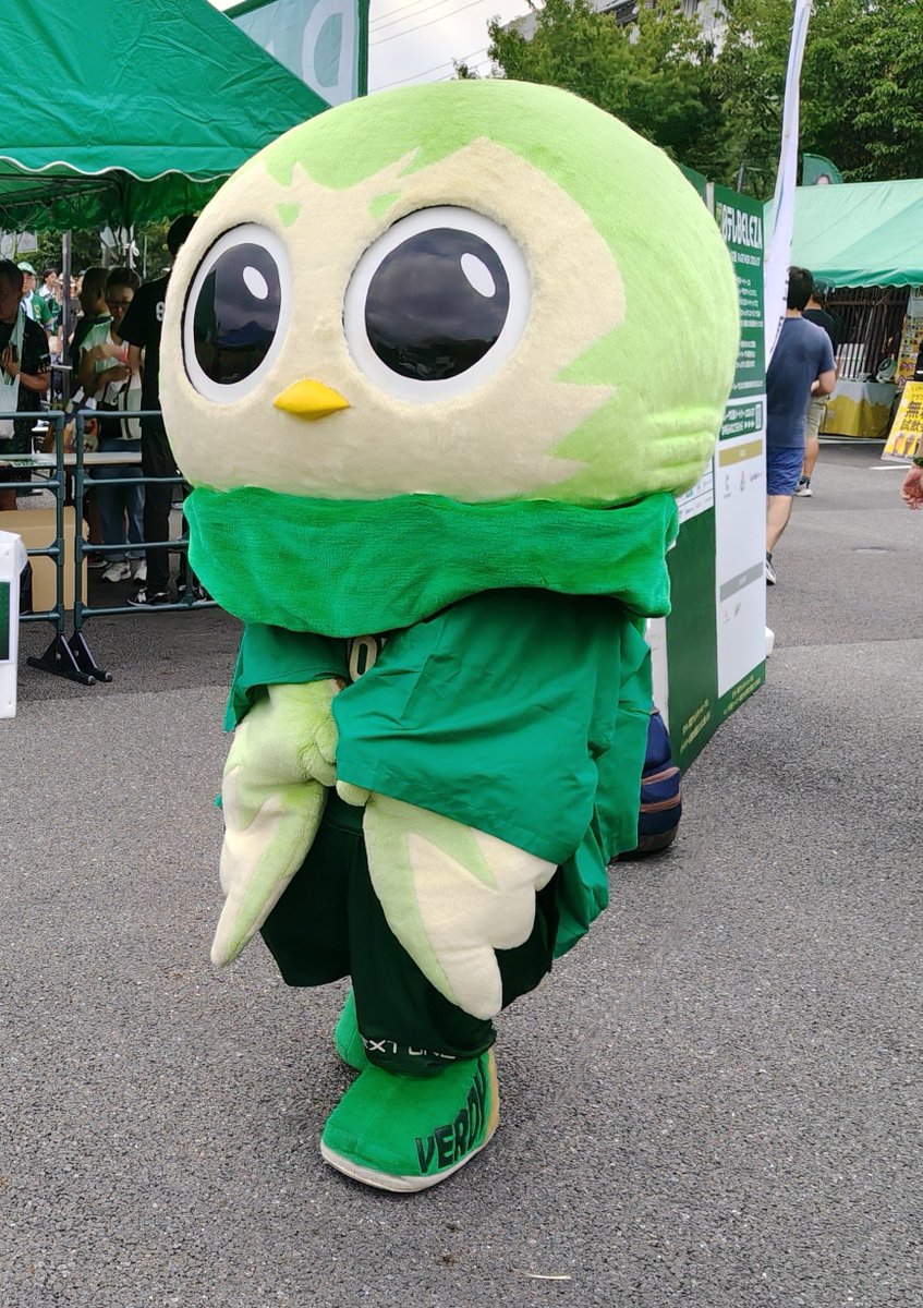 mt11128808's tweet photo. モジモジしてる感じがなんかかわいい🐥 https://t.co/7TSPXGmWzi