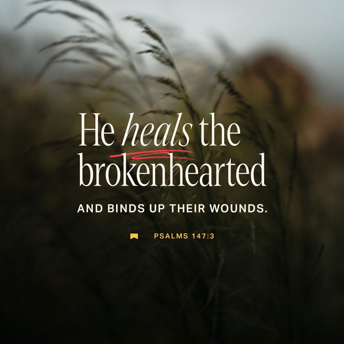 OvercomeIT's tweet photo. Good morning! The Lord be with you mightily today.

Psalm 147:3 (ESV) - “He heals the brokenhearted and binds up their wounds.” https://t.co/7ZsMxub9Xx