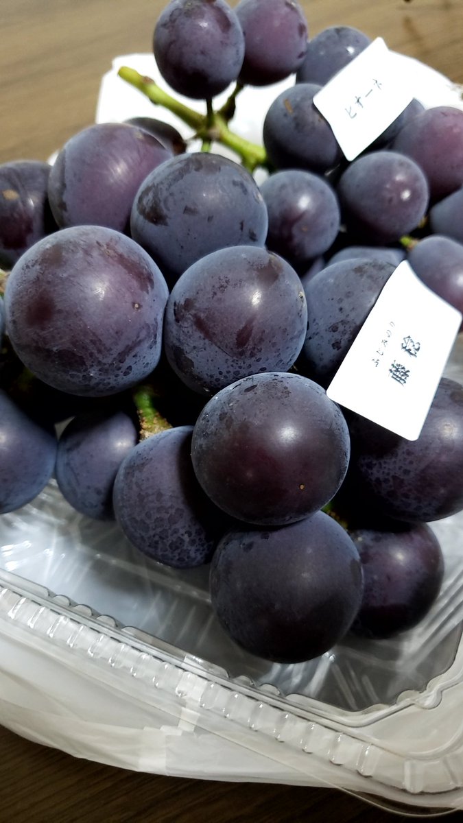 Tao51773240's tweet photo. 【麺屋 櫻弐】
・汁なしポン酢 150g 
　　　　　　　(Mu.Ys.N.A)

🍇葡萄を買いに､大平ぶどう団地へ🎶
粒デカｯ❗甘くて美味しい葡萄を
ゲット～ン🥰

もちろん帰りは､櫻弐へ直行～🍜🎶

お久しぶりの 汁なしポン酢🙆💕
今日の､豚は一段と激うまっ🐷👌
ご馳走様です😋🍴💕🙇🙇🙇
#栃木市ラーメン https://t.co/yMivSHaht3