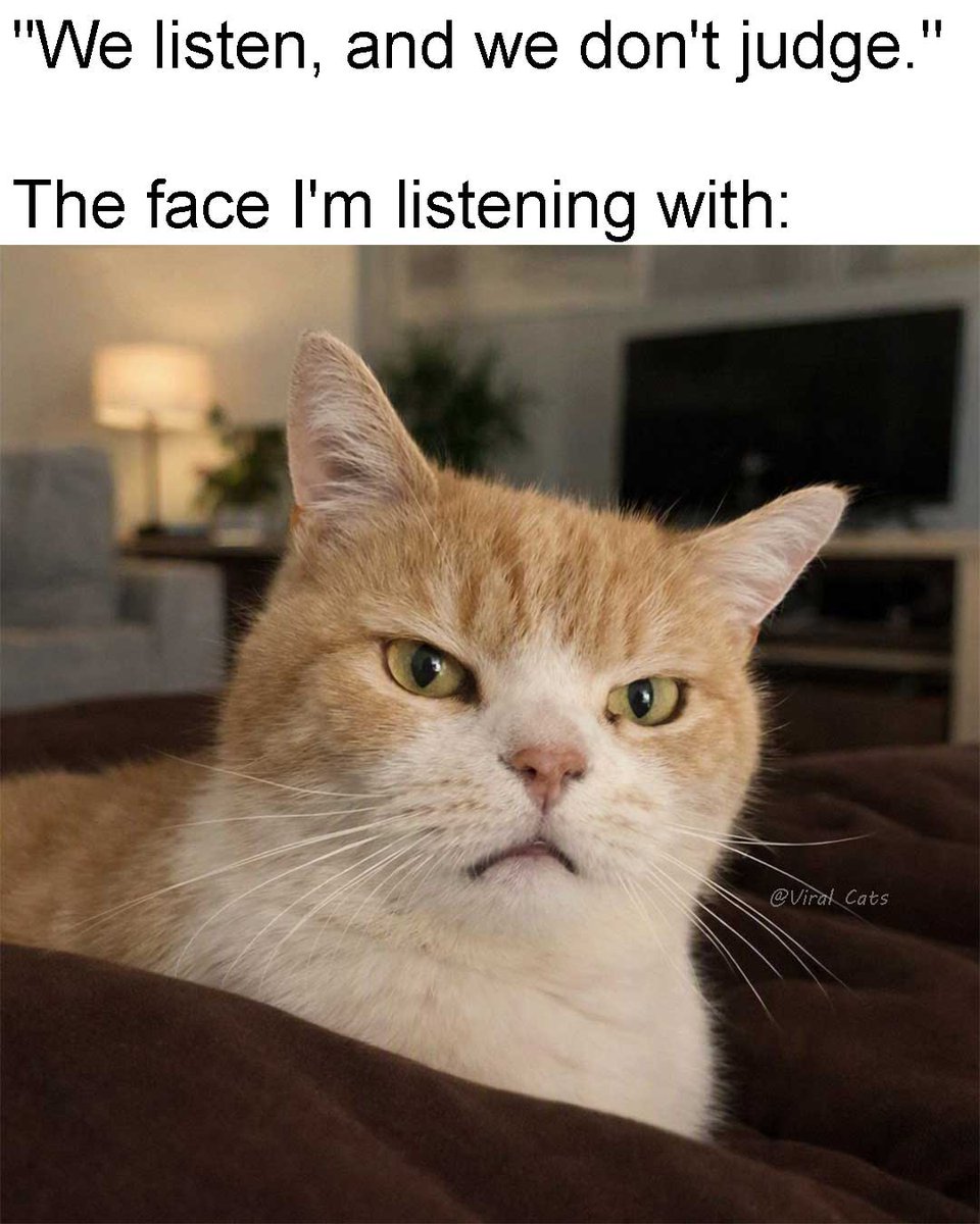 _ViralCats_'s tweet photo. "I hear you... I just wish I didn't."
😂😂😂
#catmeme #catmemes #meme #memes #funny #funnymeme #funnymemes #ViralCats https://t.co/JlIiA8J0PC