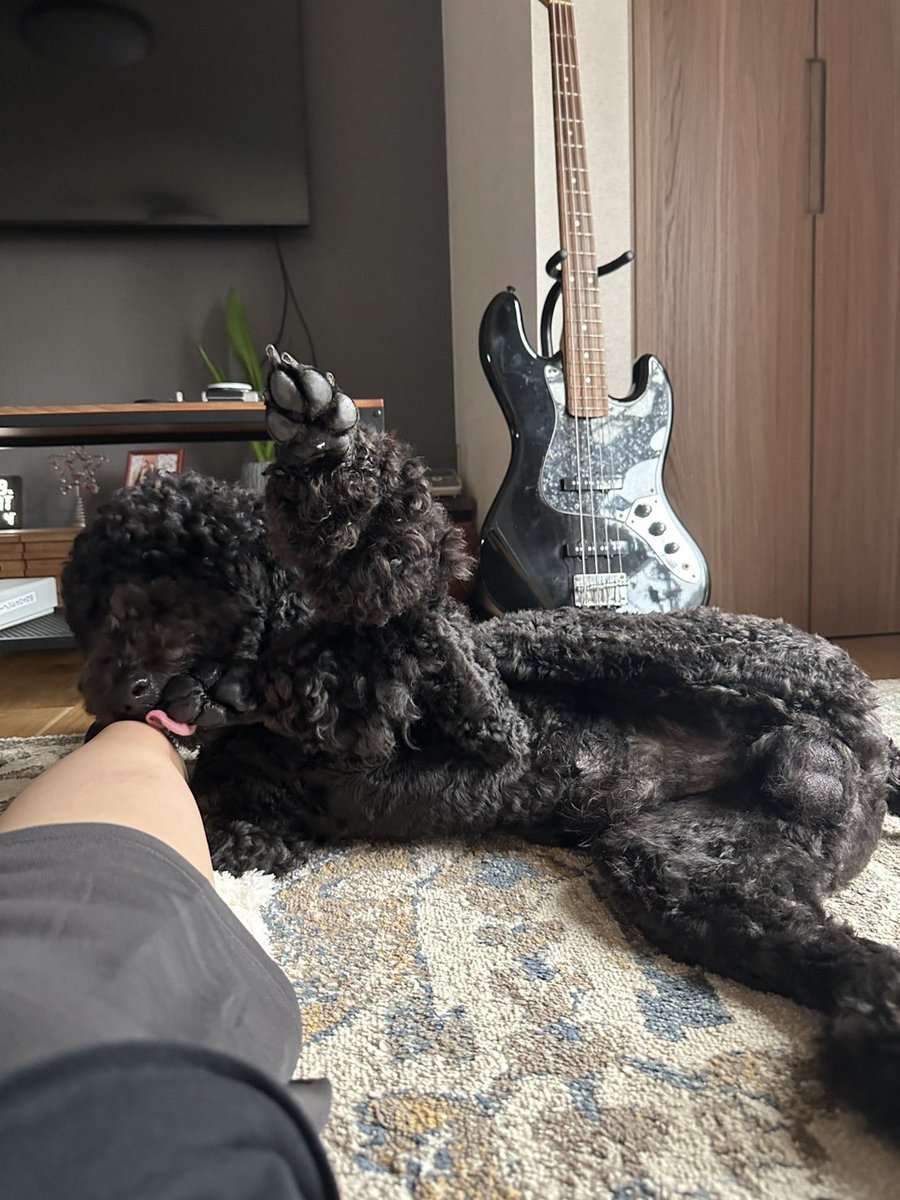 makichan20's tweet photo. #突然かっこいいブラックを無言で貼る https://t.co/GrfVXZoZtA
