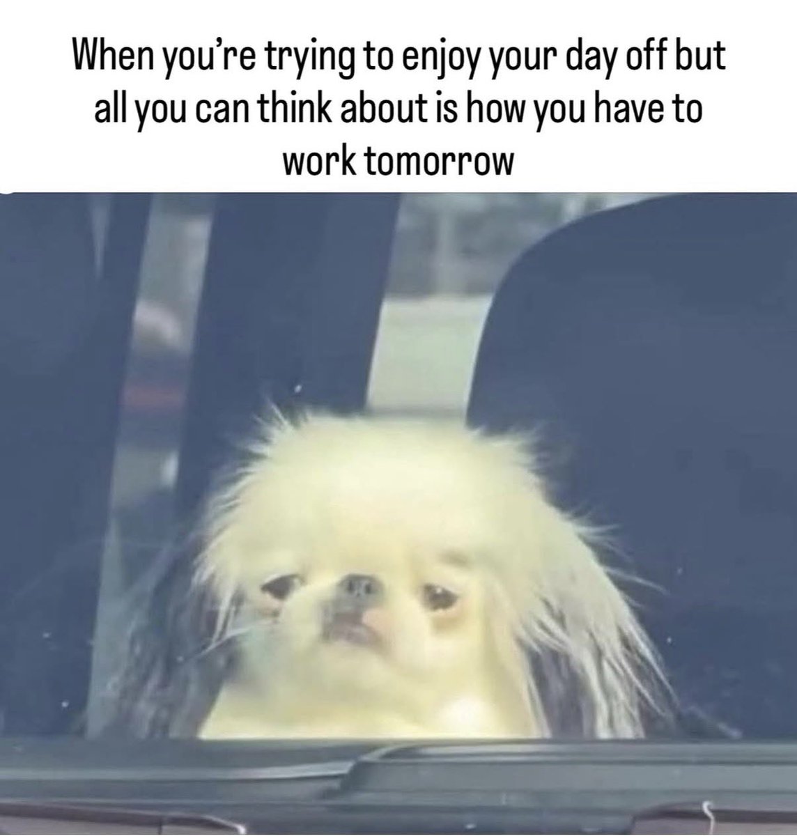 SpeakComedy's tweet photo. 😩😩😩😩 https://t.co/vmKRZ49i5h