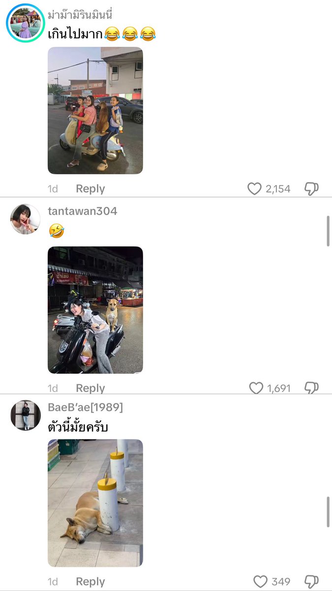 krakraxt's tweet photo. หมาตัวนี้ตลกมาก

เจ้าของโพสต์เล่าเรื่อง 1 วันในชุมแพ เจอหมาตัวนี้กระโดดขึ้นรถ พอถามแม่ค้าว่าเจ้าของคือใคร แม่ค้าก็บอกว่าไม่รู้ แต่บ้านน้องอยู่เซเว่น ขอติดรถคนไปประจำ พอไปถึงปุ๊ปโดดลงจริงๆ วิ่งไปหาเพื่อนทันที

ที่ตลกกว่าคือในคอมเมนต์จากชาวชุมแพบอกว่าน้องขอติดรถชาวบ้านไปทั่ว พร้อมแนบรูปประกอบ ดิจิตัลฟุตลองชีสเพียบ

Cr.bbbbbabygirls (tt)