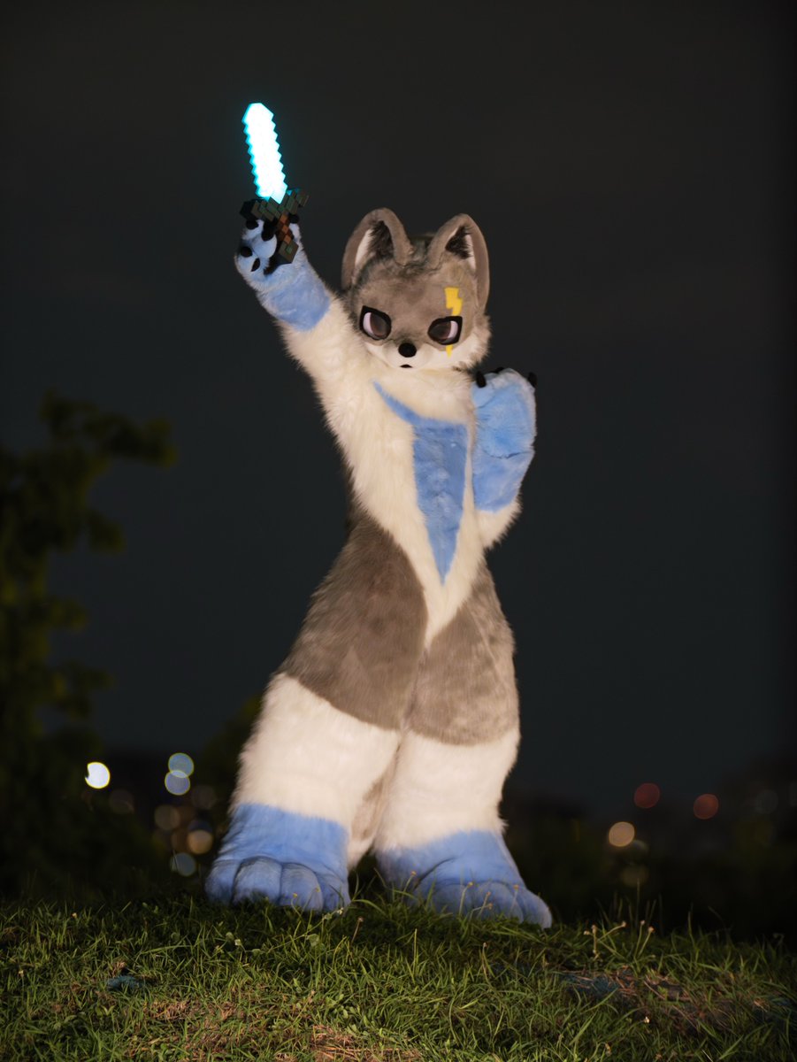 JackChen_Wolf's tweet photo. For the King!
📷 @HappyMiDog 
#FursuitEveryday https://t.co/3GagXSqeWr
