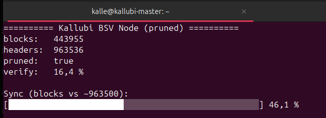 KallubiBSV's tweet photo. Progress update:

Spinning up my own pruned BSV node (SV Node) on dedicated NVMe.

IBD in progress — headers at tip, blocks catching up. Homelab infra for Kallubi tools, not a public endpoint (yet).

Wallet Mode 1 work continues in parallel.

#BSV #BitcoinSV https://t.co/njJSB3eqIs