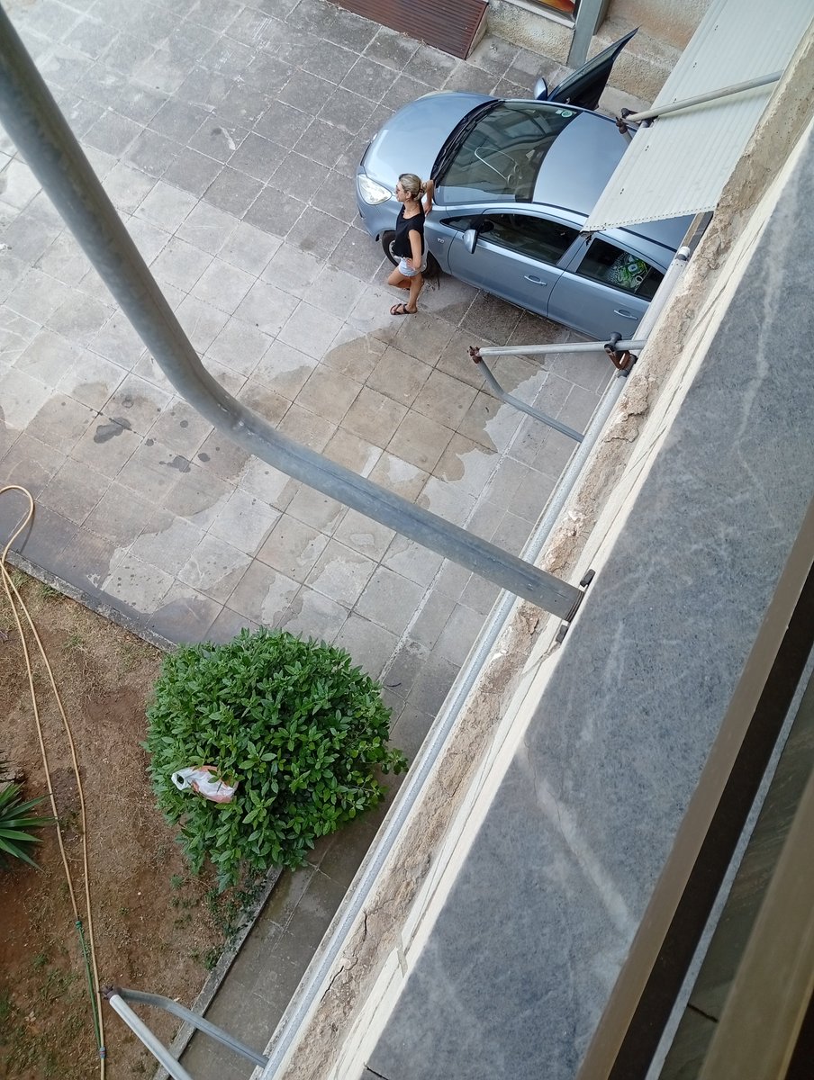 AgPapadop's tweet photo. Φεύγει το κάθαρμα 😥🤷😎🥺 https://t.co/cXcfyGdZQm