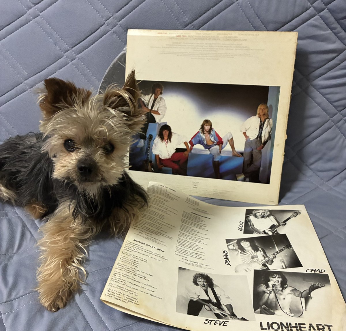 Kenmataray1's tweet photo. 今宵はこの曲で一杯🍺
LIONHEART
「Living In A Dream」
1984年

アイアンメイデンを脱退したデニス・ストラットン🎸が見事なメロハー作を作ってくれた！
私のお気に入りアルバムでした

このバラードのなんと美しい事か😭

乾杯🍻

https://t.co/qok2vqa1C0 https://t.co/nVptXmpc7f