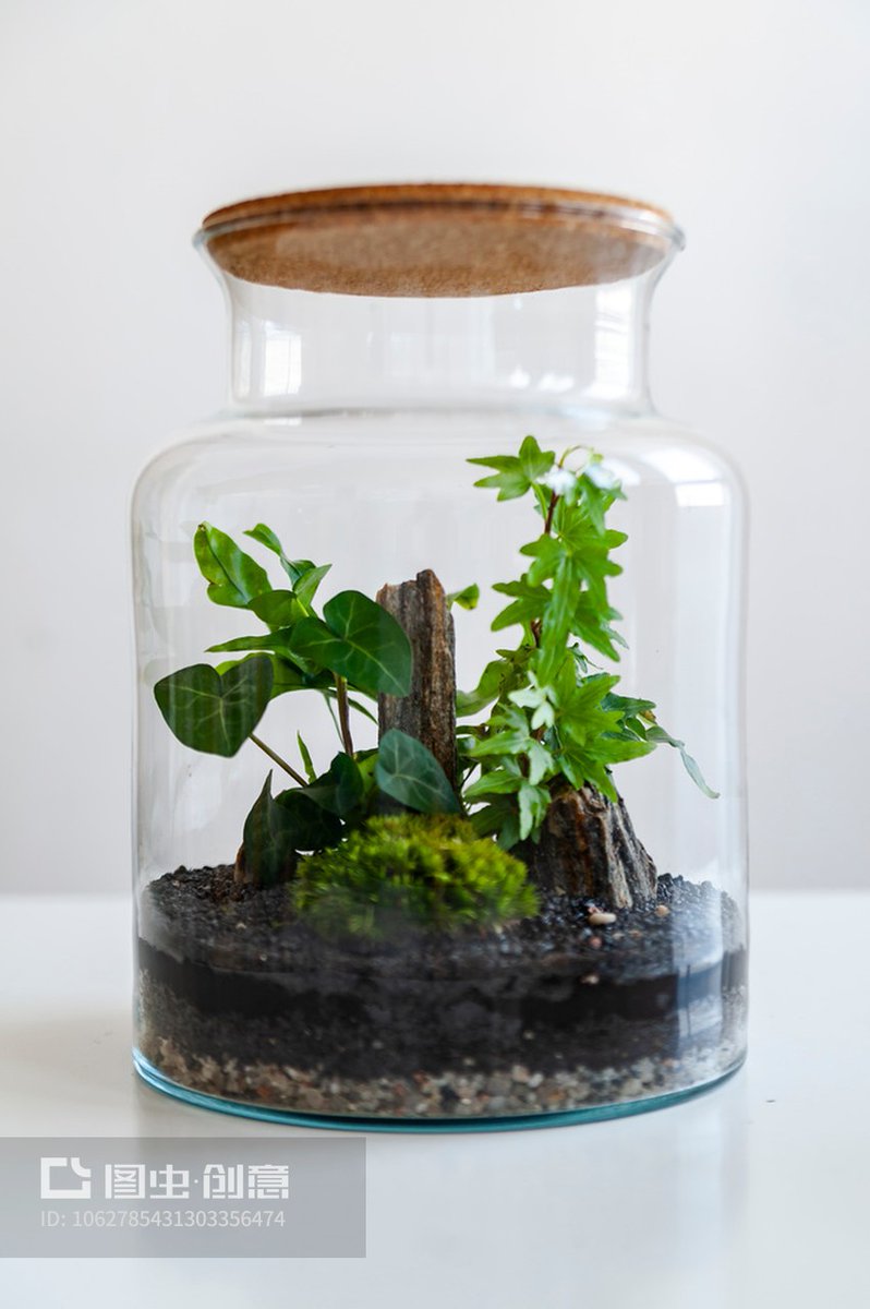 guichardsteph's tweet photo. Turn an old mason jar into a cute plant holder for your desk. Super easy DIY that sprues up your workspace!， https://t.co/qYxMJyRlz1