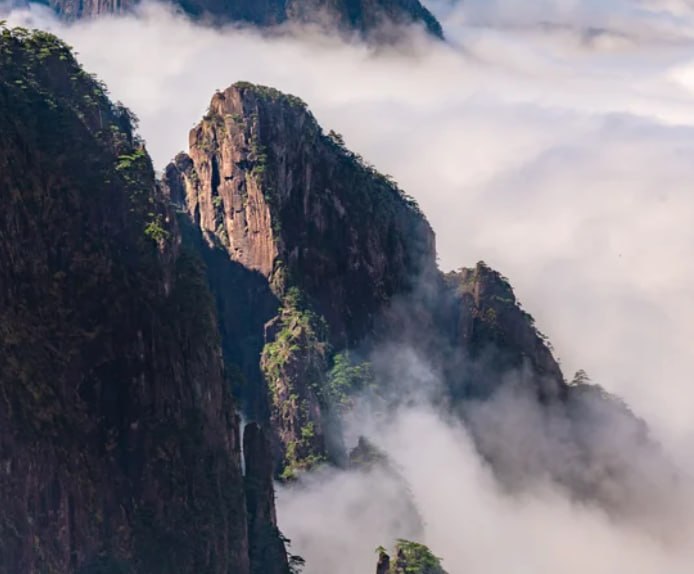 Cryptodangan's tweet photo. 黄山的风景真的美好
希望大家可以爬一次黄山，黄山的风景真的非常的好。

周末的时候都可以出去玩一玩。 https://t.co/7InTHeyqKR