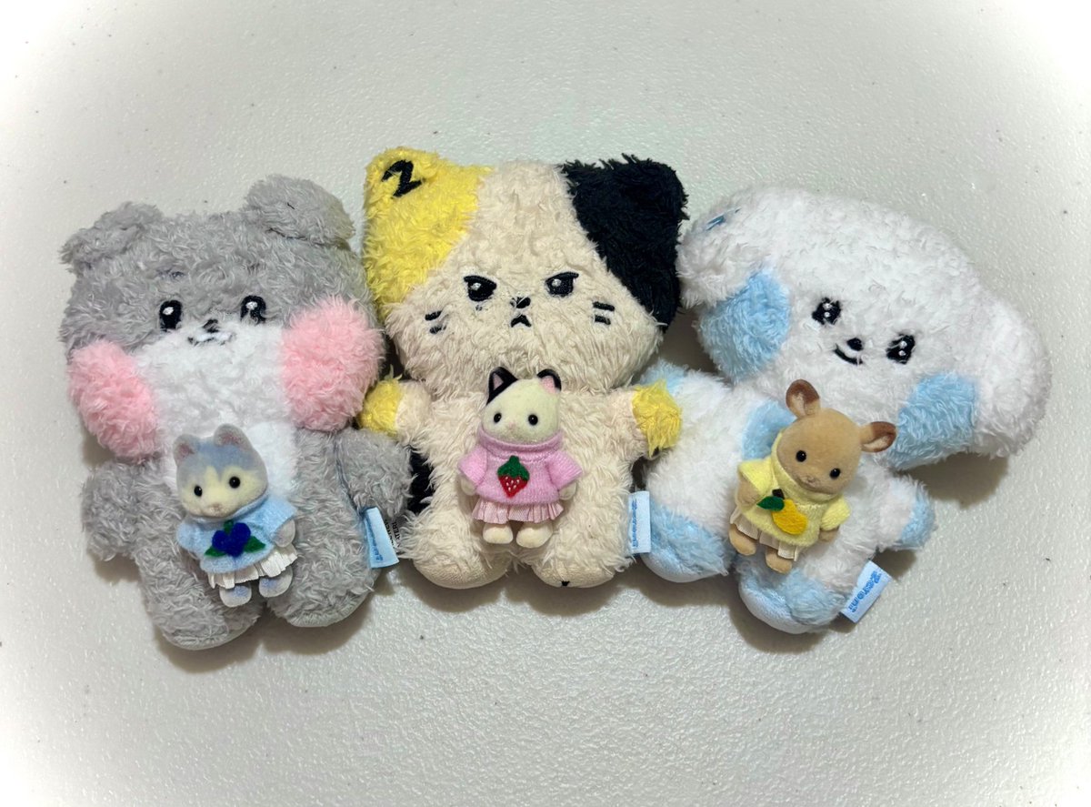 scyventeen's tweet photo. the babies are ready for some adventure with their matching fits 🍓🥭🫐
#aristocatz #zeronis #sylvanianfamiloes #sylvanian #실바니안 https://t.co/23WuJQqtQZ