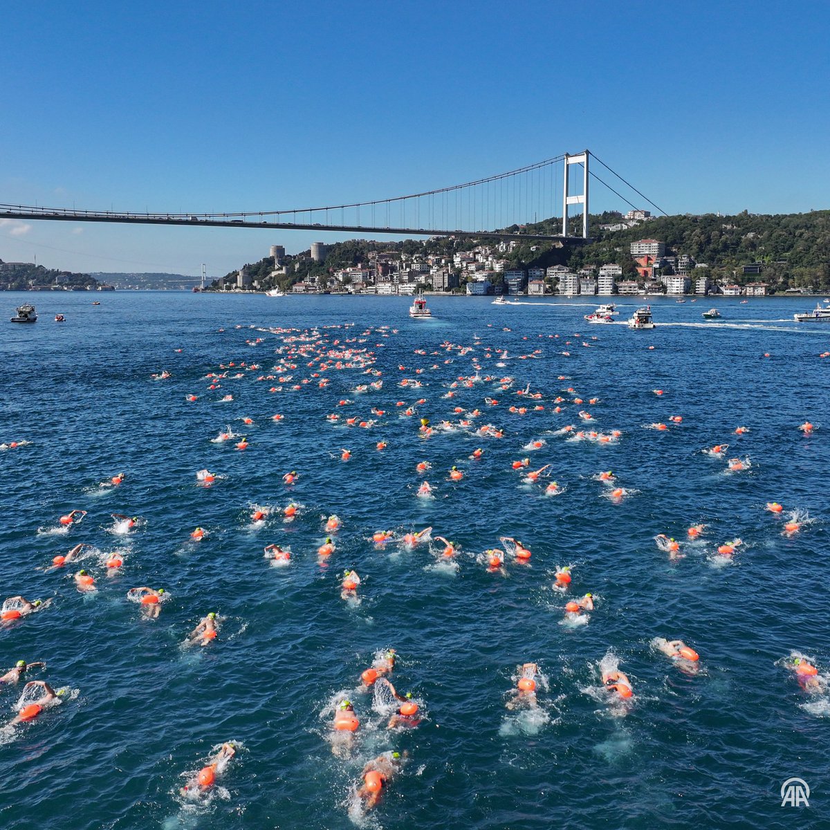 bosunatiklama's tweet photo. 38. Boğaziçi Kıtalararası Yüzme Yarışı başladı. https://t.co/eVYg8KRwIh