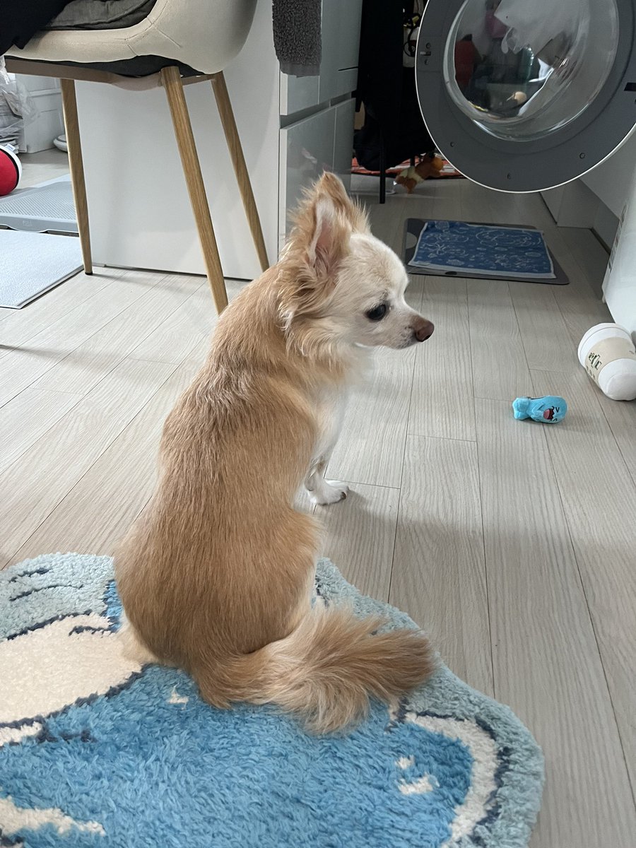 SX2ONG's tweet photo. 꼬뿌 기다여 ㅜ https://t.co/eO1DhKgPxG