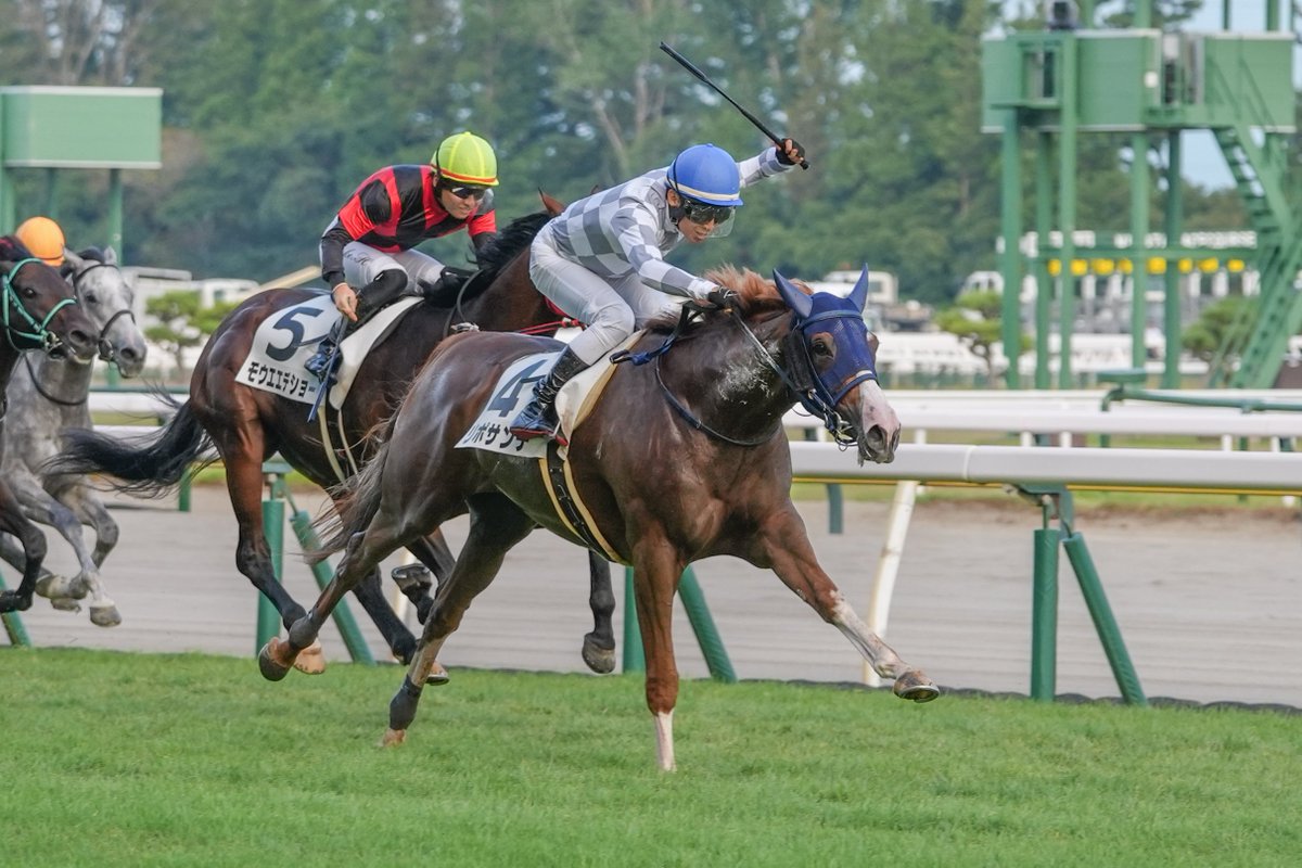 Jordan_Jorvon's tweet photo. 2026/08/23
新潟競馬10R 3歳以上1勝クラス
🏆リポサンテ × 田辺裕信騎手

#新潟競馬 
#リポサンテ 
#田辺裕信 騎手 https://t.co/6jAmSXQckD