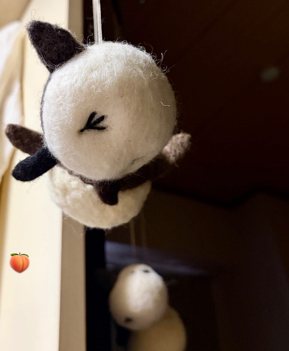 hacy0203's tweet photo. 🍑🍑 https://t.co/82xVJCjGcu