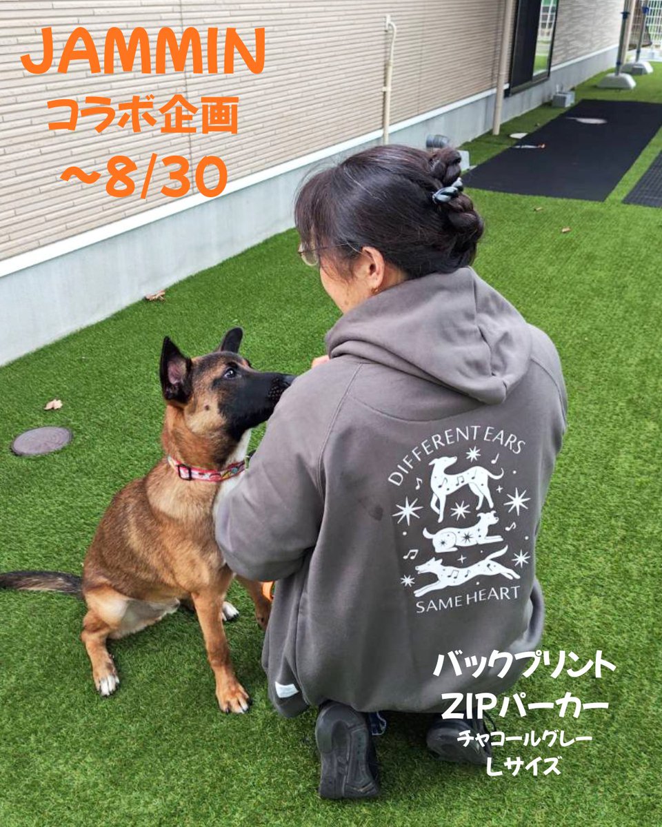 hearingdogjp's tweet photo. 本日より、JAMMINさんと協会のチャリティーコラボがスタートしました。
JAMMIN（https://t.co/2TPD3AG5tY）さんは、デザインを通して社会課題を伝え、商品購入が支援につながるチャリティー企画を行っています。
コラボは、8月24日から8月30日までの1週間限定。
ぜひ、この機会にお買い求めください https://t.co/7CJygytNG5