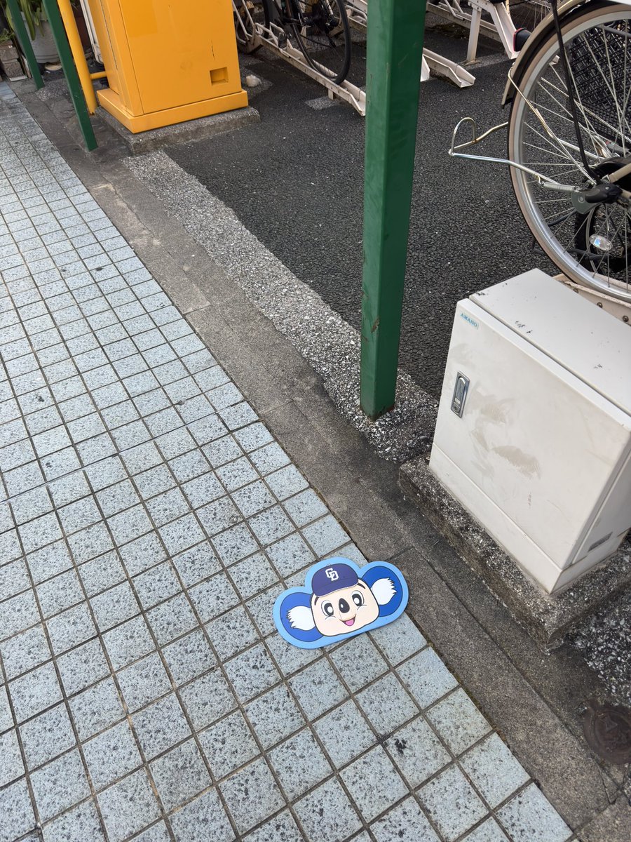 uchimaru48's tweet photo. @BUNSHAKA99 先ほどチャリ取りに行ったらこうなってました。ヤクルトは負けましたが踏まずに横にどけときました。 https://t.co/X4sdzOrxWG