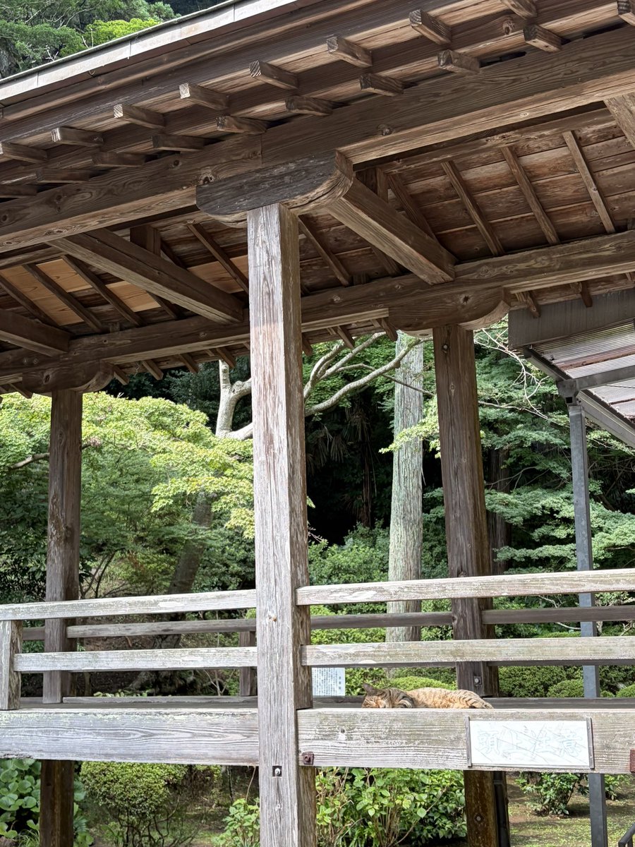 kkkfkfk's tweet photo. 東金の町をぶらぶらした。
何も考えてない。
ただぶらぶらしただけ。
明治とか大正とか昭和とか、地方都市に活気があった時代って、どんなだったんだろう。昭和の暮らしってどんなだろう。満たされた生活だったのかな。とだけは思った。 https://t.co/stUkJEjvFM