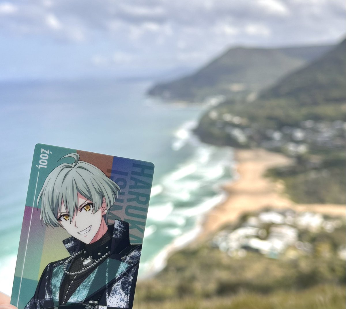 sumifiles's tweet photo. haru’s adventures today ☀️ https://t.co/HbAVC6lJgL
