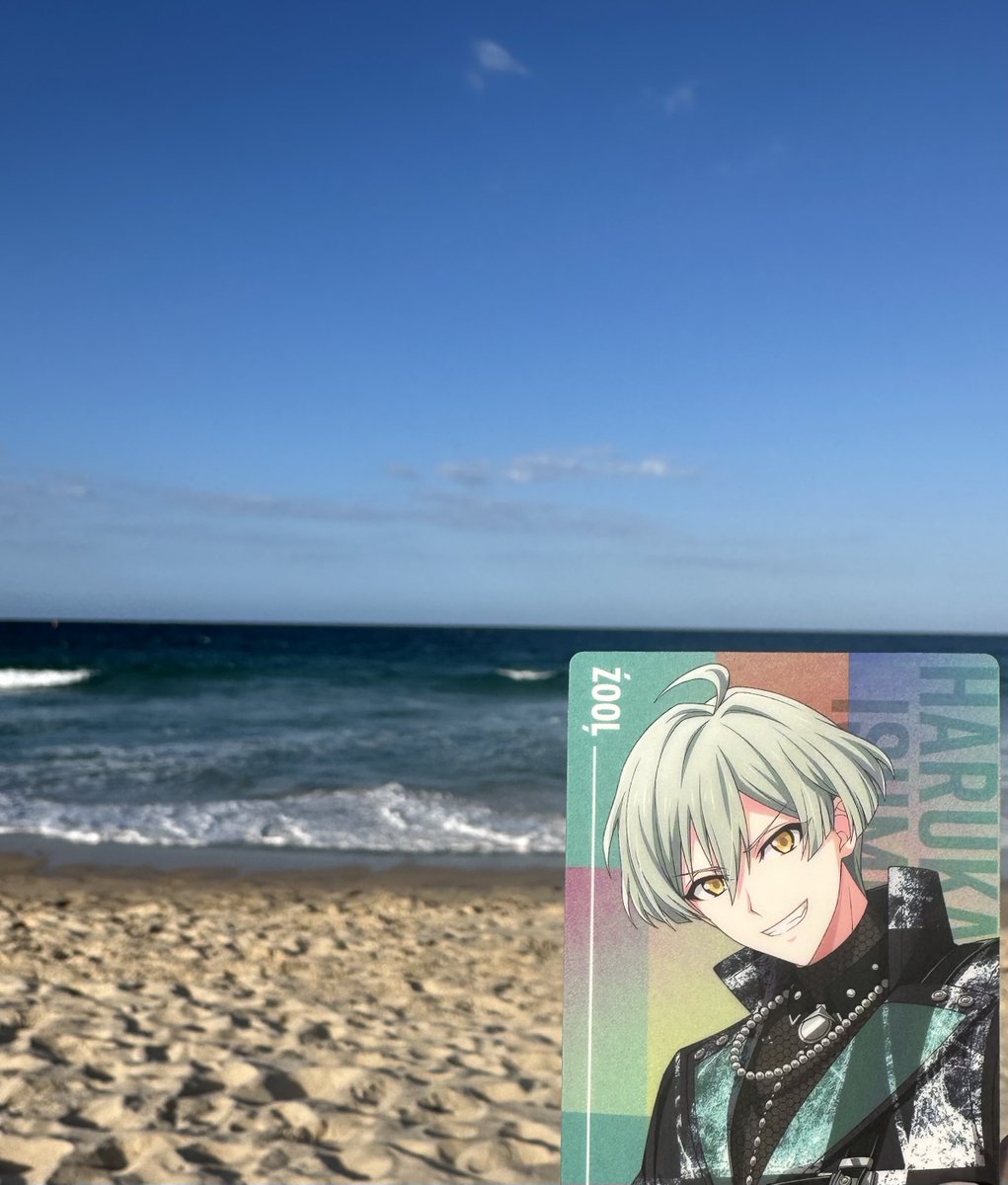 sumifiles's tweet photo. haru’s adventures today ☀️ https://t.co/HbAVC6lJgL