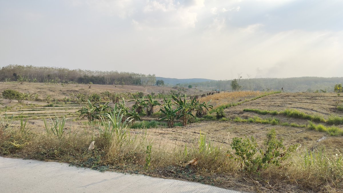 udinwidarso's tweet photo. Motoran sampai sini. Margomulyo, Bojonegoro https://t.co/UGApkbGGAD