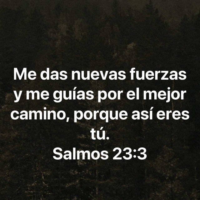 marcosandovalgo's tweet photo. https://t.co/LjiaQwA3KP