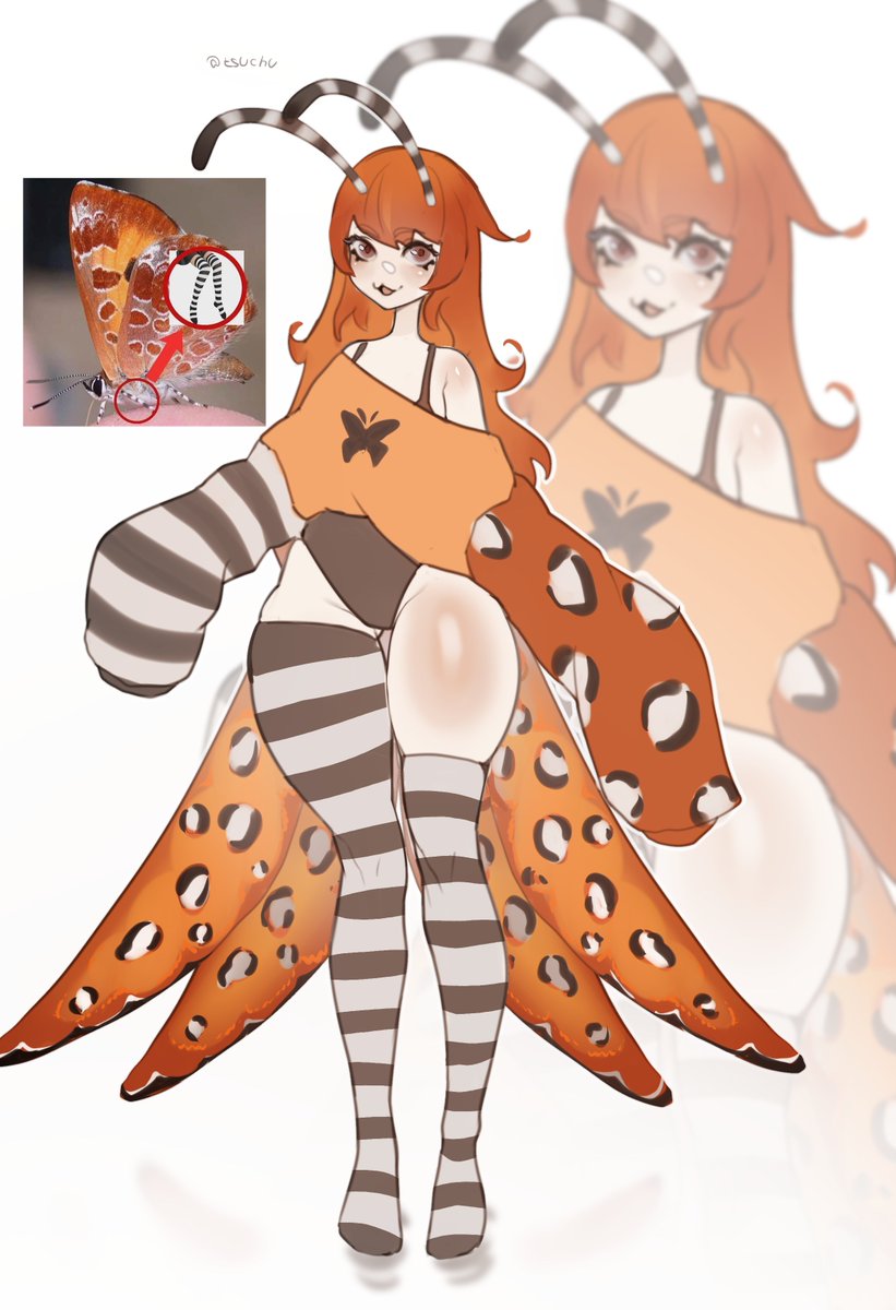 tsuchu3's tweet photo. butterfly adopt https://t.co/V64WuJK0Yr