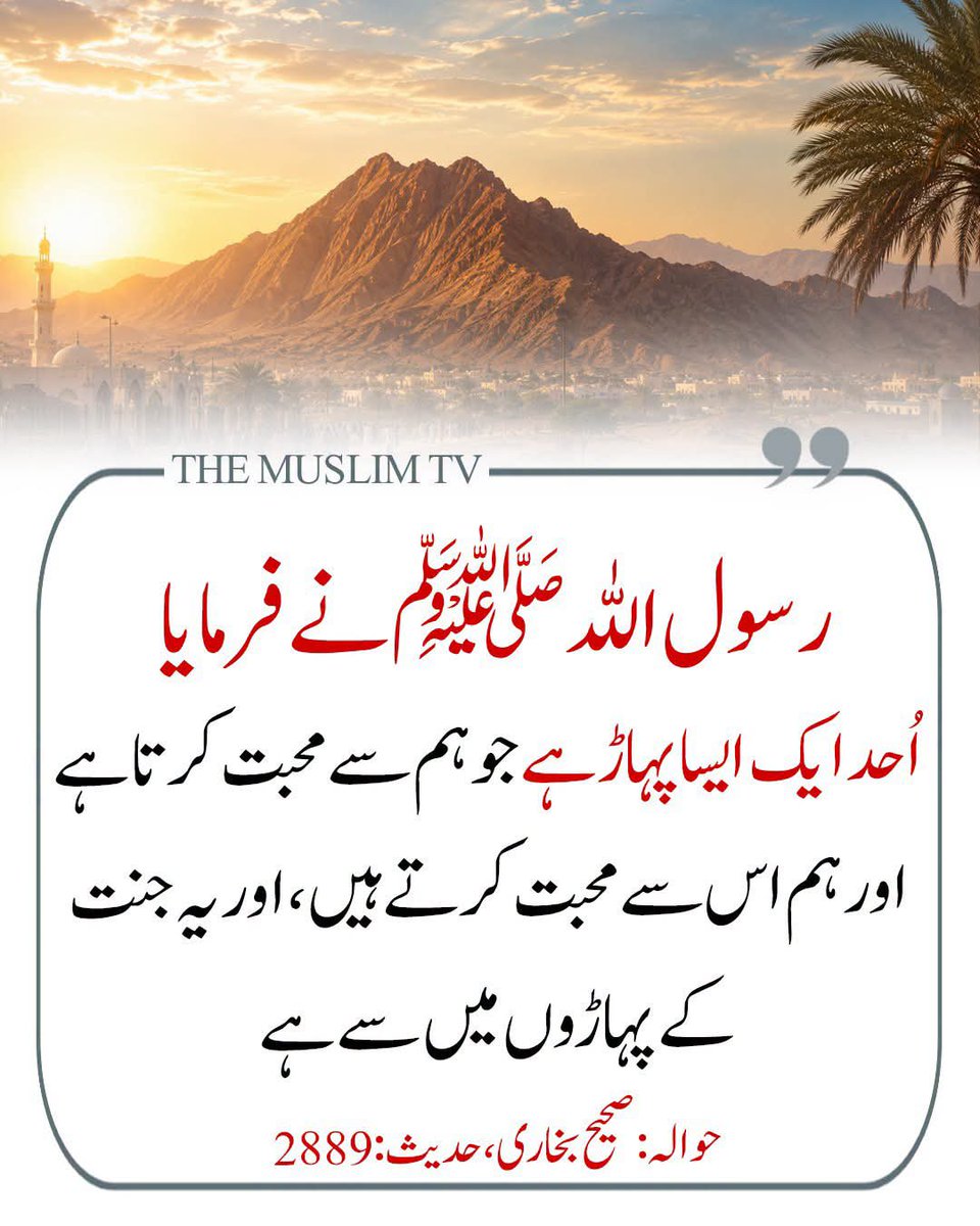 Ajmal_804's tweet photo. رسول اللّٰہ ﷺ نے فرمایا: https://t.co/8QWKsnR8Nk