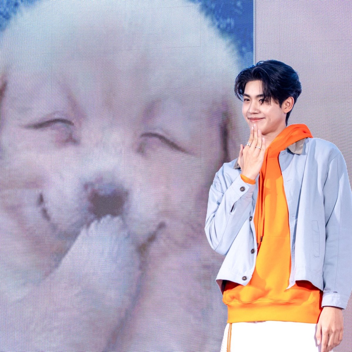 itzforyouth's tweet photo. you're well trained for that 🐶 https://t.co/UC6Y5xsmRZ