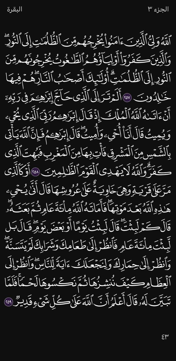 ma_iiv1's tweet photo. ورد اليوم🩶 https://t.co/dBc2R4M4cR
