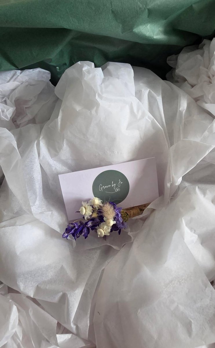 thhouseofblack's tweet photo. A few days ago, some of us rhaelya fans sent Harmony a bespoke Crown of Blue Flowers alongside a little letter as a sign of our love and support for her amazing performance as Lyanna Stark. A small gift for our Queen of Love and Beauty that we hope she liked! https://t.co/nIVghjEP8v