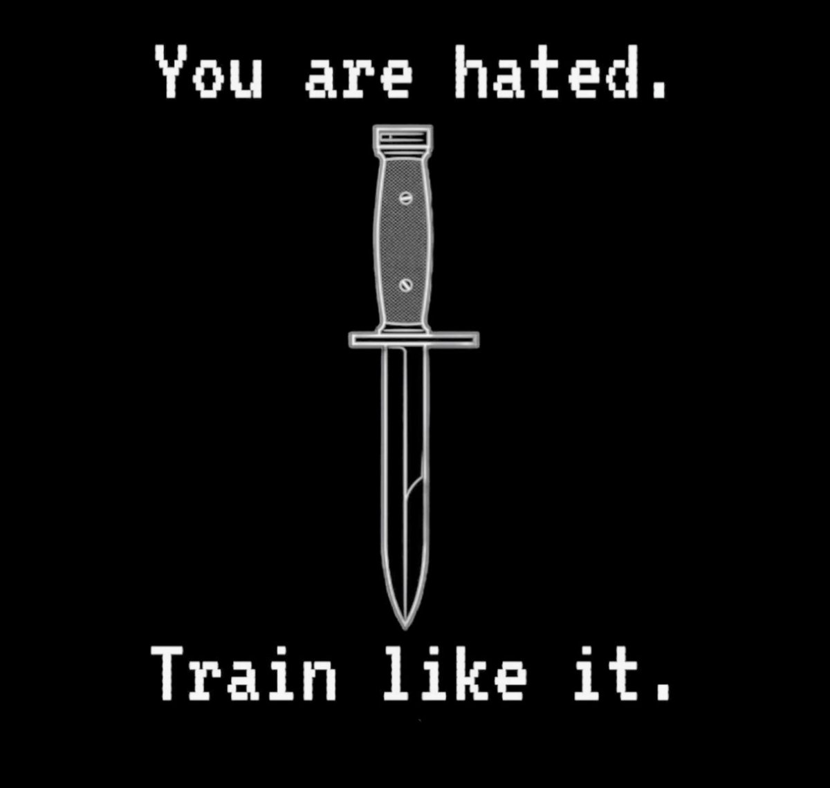 NSS1290's tweet photo. Happy Sunday ladies and gentlemen.

Hope it's a blessed day for all.

A reminder for my White kin on this fine Sunday.

You are hated, so train like it.

What you allow is what will continue. https://t.co/uDFo4qbErS