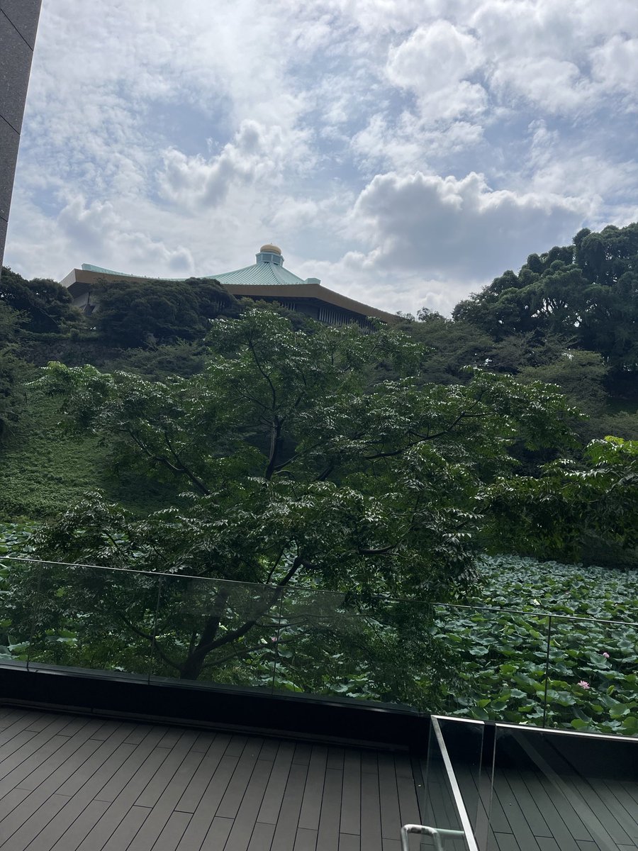 ld_sacochan's tweet photo. 立て替えられた九段テラスから見た武道館

今日は一日この辺りを歩いていました👟 https://t.co/y8UPSOVOum