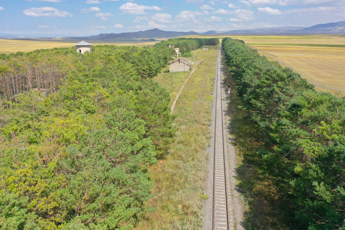 sputnik_TR's tweet photo. 🌳🚆57 yıl önce ağaçlandırılmıştı: Tarım arazileri arasında orman oldu

🌲Kars'ın Selim ilçesinde 57 yıl önce Türkiye Cumhuriyeti Devlet Demiryollarınca ağaçlandırılan Benli Ahmet Tren İstasyonu'nun çevresi, tarım arazileri arasında bir "vaha" gibi ortaya çıkarak dikkati çekiyor. https://t.co/01R0vwKD9u