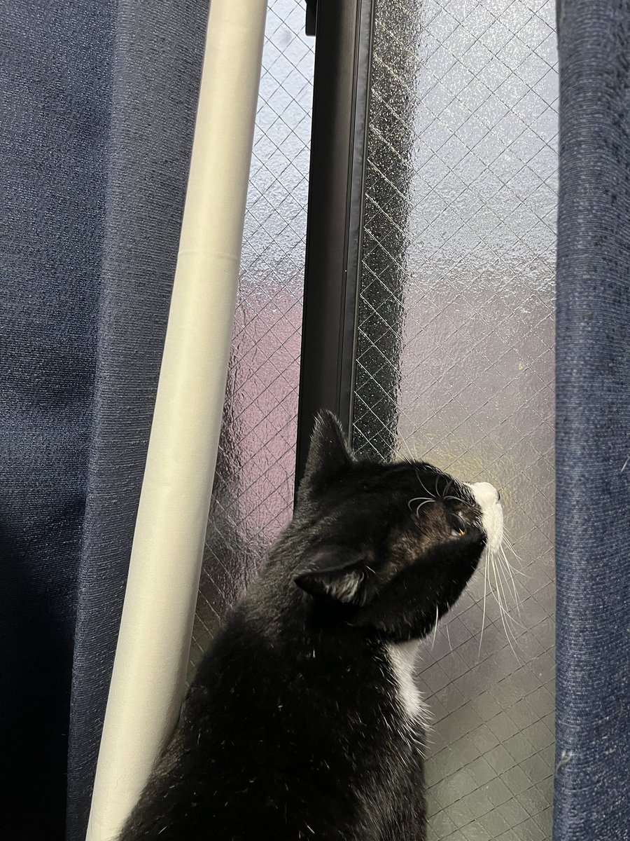 highig07's tweet photo. 雨やばいのみてる https://t.co/QYIboMgbny