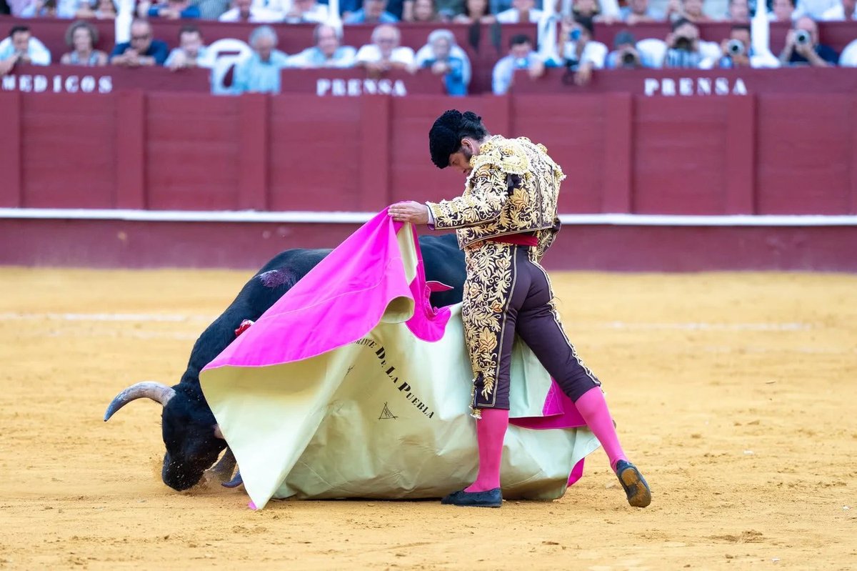 jon90537481's tweet photo. Ayer José Antonio se entregó en cuerpo, riñones y alma....y Málaga ni se enteró! Allá ellos! Gracias Jose Antonio https://t.co/cI1p7Jchai